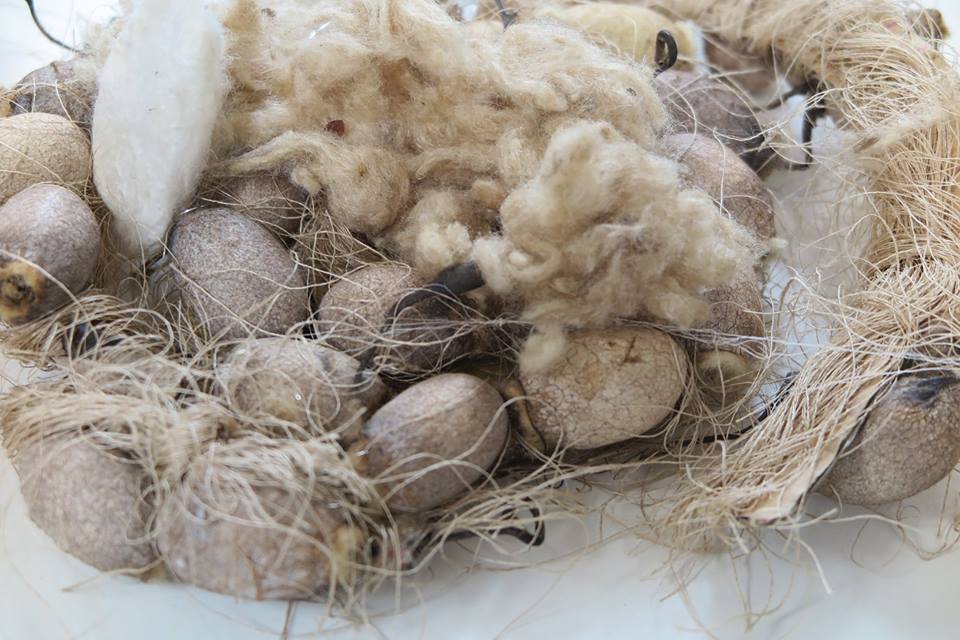 10_GEORGE_by_cocccon_Fashion_Related_Services